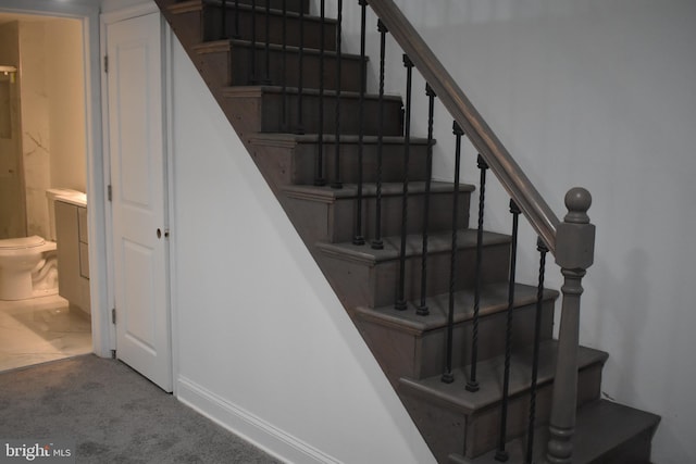 stairway with carpet flooring