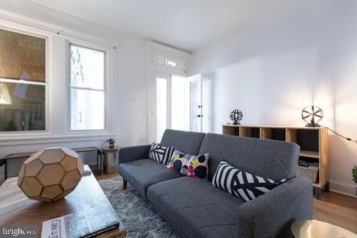 living room with hardwood / wood-style floors