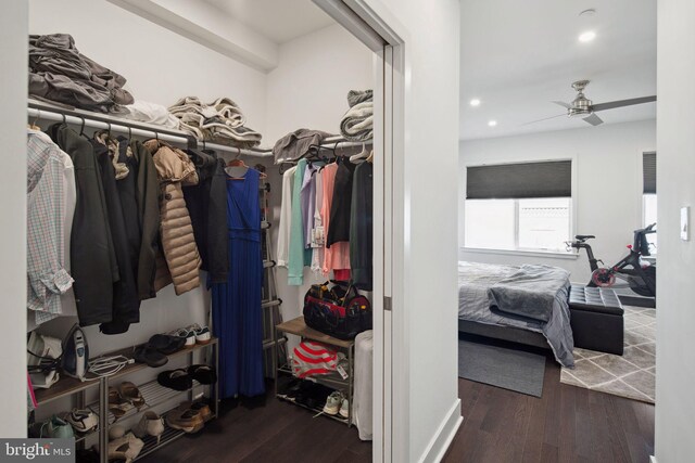 spacious closet with ceiling fan and dark wood-type flooring