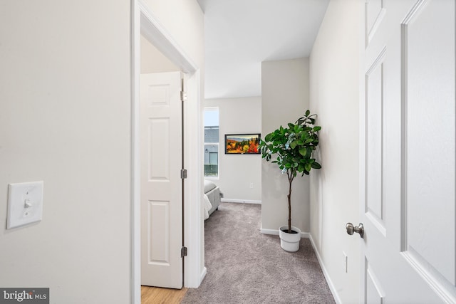 2714 Cecil B Moore Ave, Philadelphia, PA 19121 - corridor with light colored carpet and baseboards