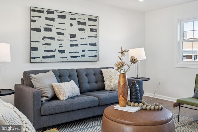 living room with hardwood / wood-style flooring