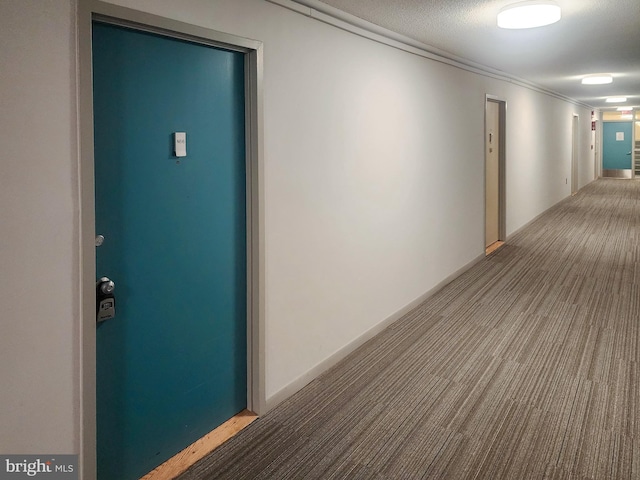 1301 Delaware Ave SW Unit N616, Washington, DC 20024 - hall with carpet and crown molding
