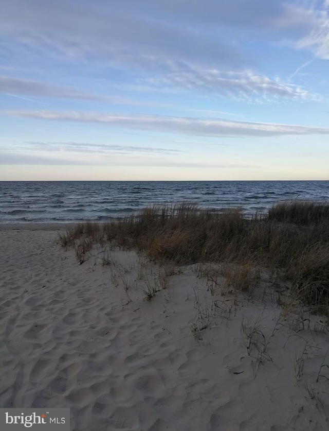 water view featuring a beach view