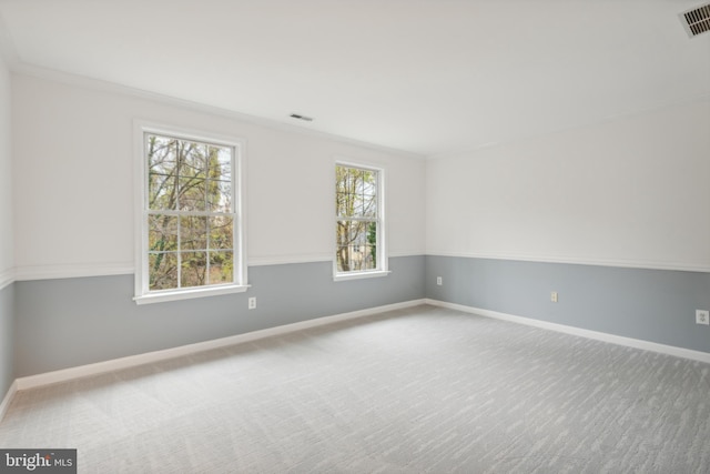 empty room featuring carpet flooring and ornamental molding