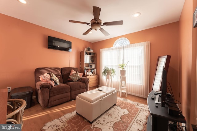 living room featuring ceiling fan and light hardwood / wood-style floors