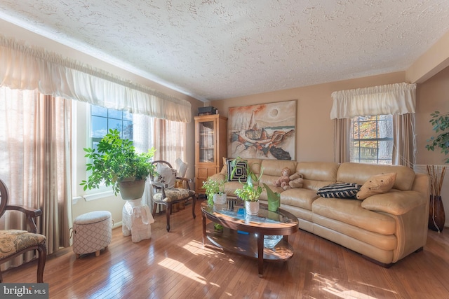 living room featuring hardwood / wood-style flooring, plenty of natural light, and a textured ceiling