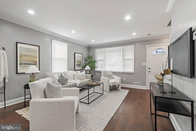 living room featuring crown molding and dark wood-type flooring