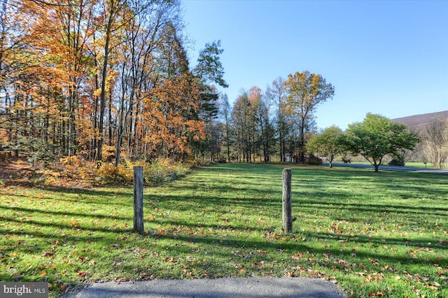 view of community with a lawn