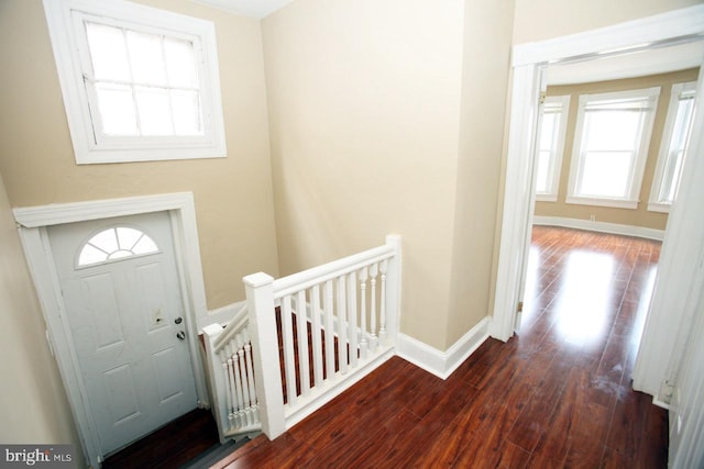 foyer with dark hardwood / wood-style flooring