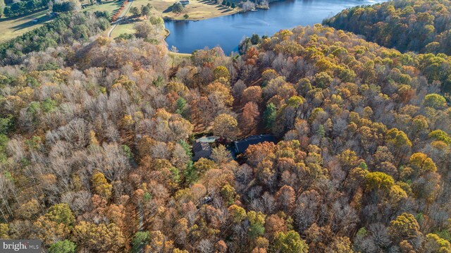14445 Kings Grant Ln, Doswell, VA 23047 - aerial overview of property's location featuring a forest and a large body of water