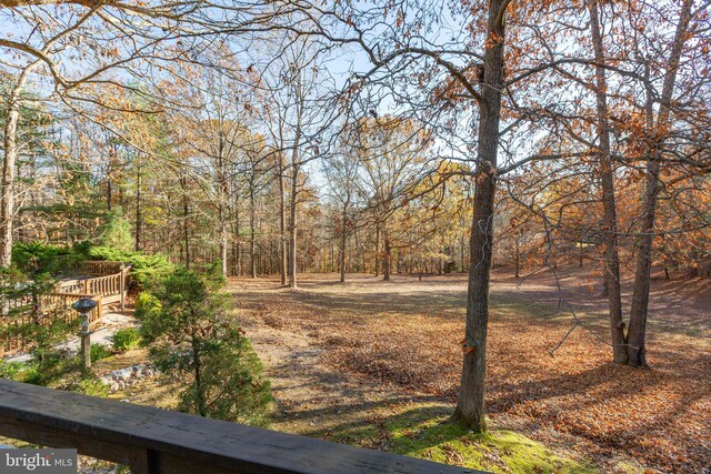 14445 Kings Grant Ln, Doswell, VA 23047 - view of yard