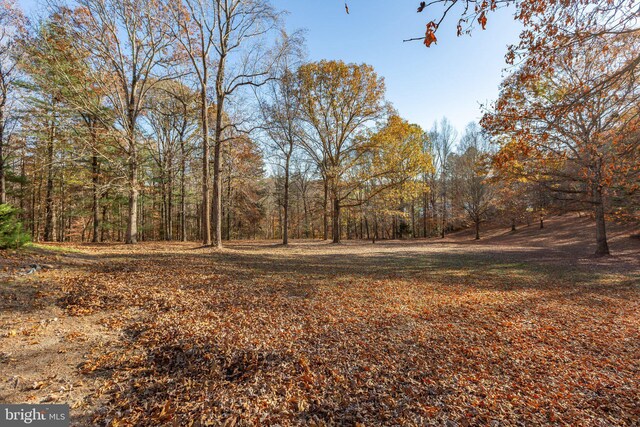 14445 Kings Grant Ln, Doswell, VA 23047 - view of yard with a wooded view