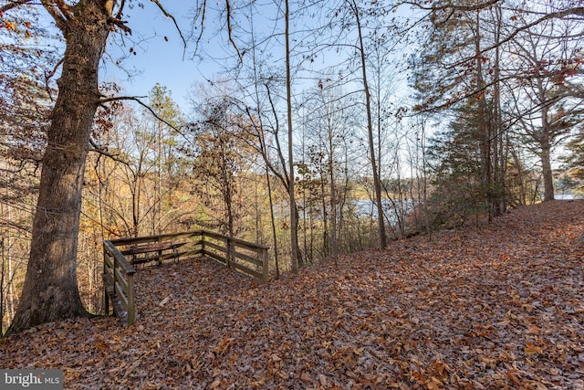 view of local wilderness