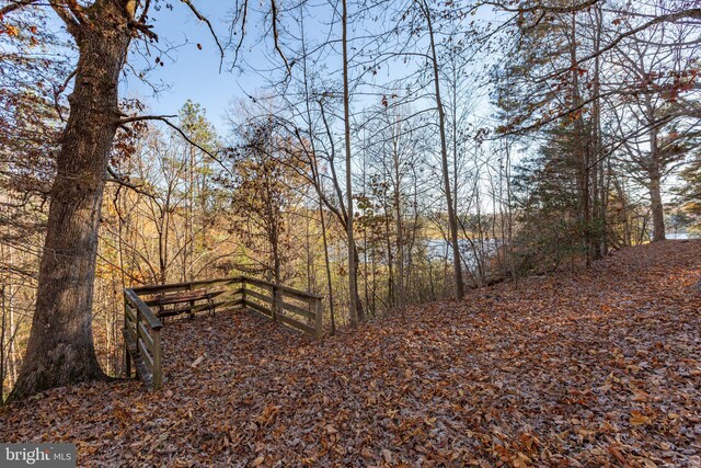 14445 Kings Grant Ln, Doswell, VA 23047 - view of nature