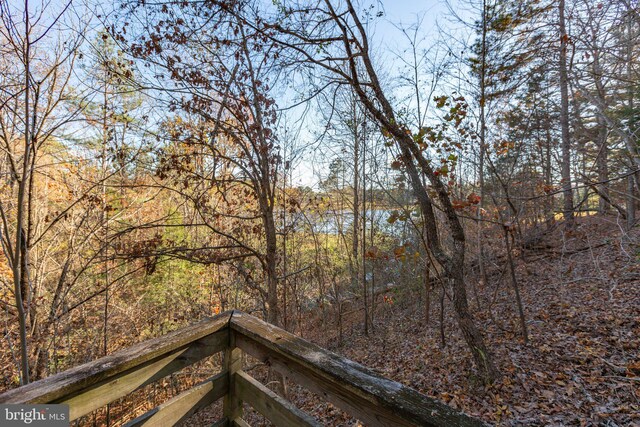 14445 Kings Grant Ln, Doswell, VA 23047 - water view with a forest