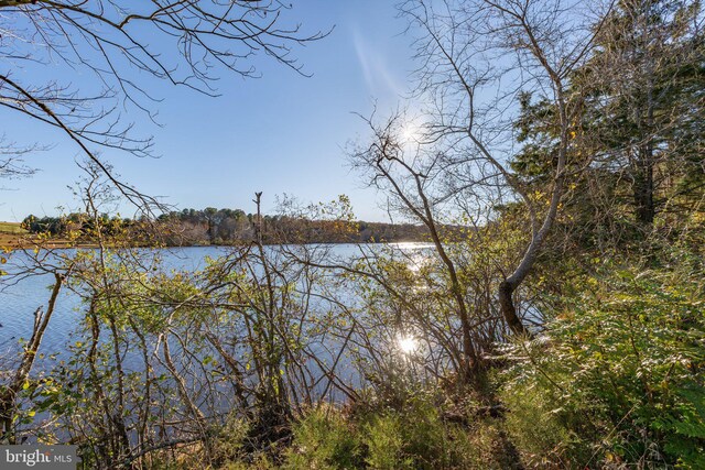 14445 Kings Grant Ln, Doswell, VA 23047 - water view
