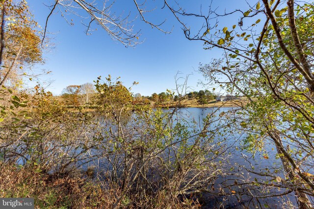 14445 Kings Grant Ln, Doswell, VA 23047 - water view
