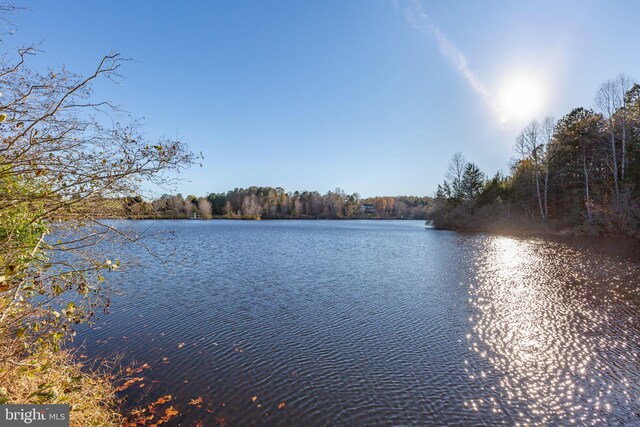 14445 Kings Grant Ln, Doswell, VA 23047 - water view with a forest
