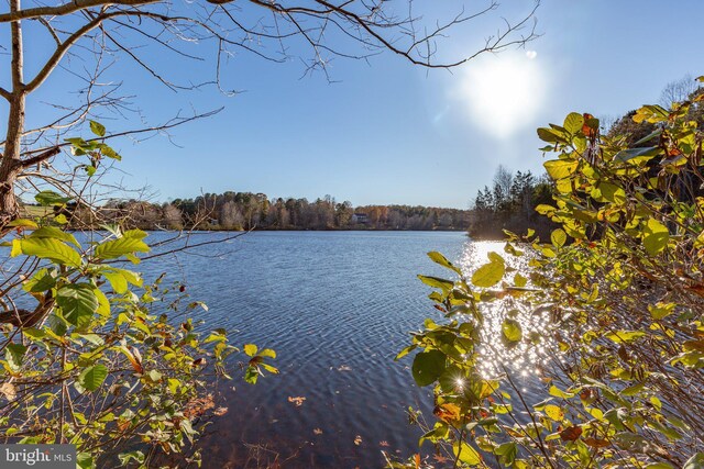 14445 Kings Grant Ln, Doswell, VA 23047 - water view with a heavily wooded area