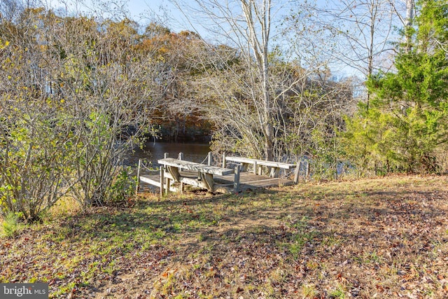 view of yard with a dock and a water view