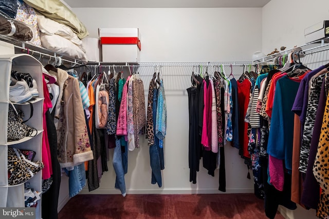 spacious closet featuring carpet