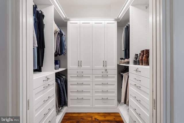 spacious closet with dark wood-type flooring