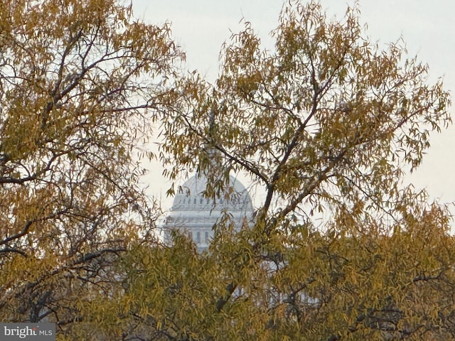 view of nature