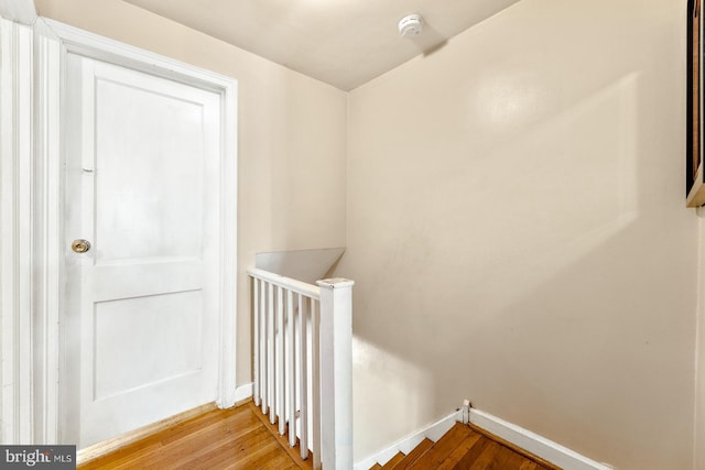 stairway with hardwood / wood-style floors