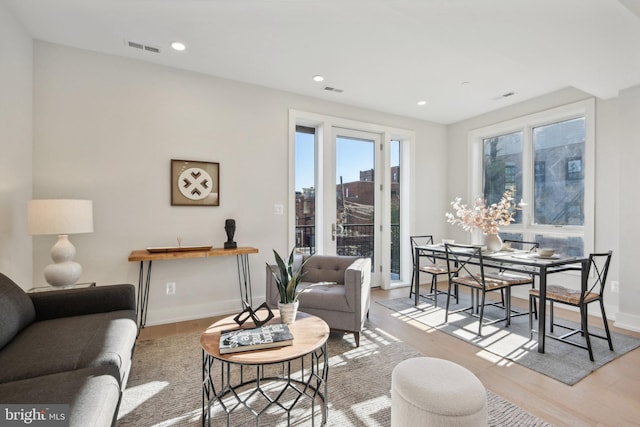 living room with light wood-type flooring