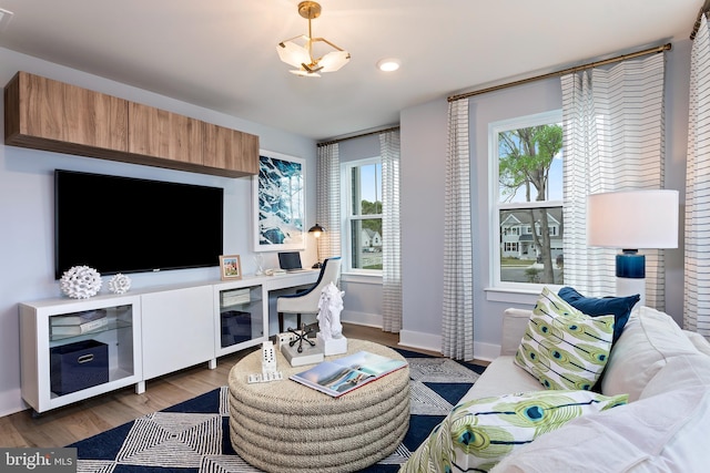 living room with hardwood / wood-style flooring