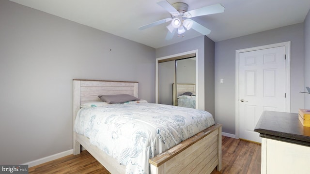 bedroom featuring ceiling fan, a closet, and dark hardwood / wood-style floors