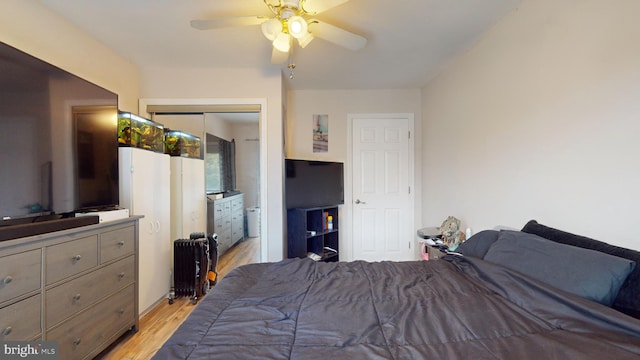 bedroom featuring a closet, light hardwood / wood-style flooring, and ceiling fan