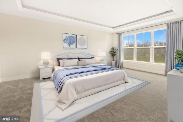 11310 Ingels Ct, Issue, MD 20645 - carpeted bedroom featuring a raised ceiling and baseboards