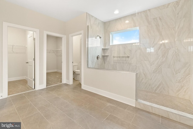 11310 Ingels Ct, Issue, MD 20645 - bathroom with toilet, a walk in shower, and a walk in closet