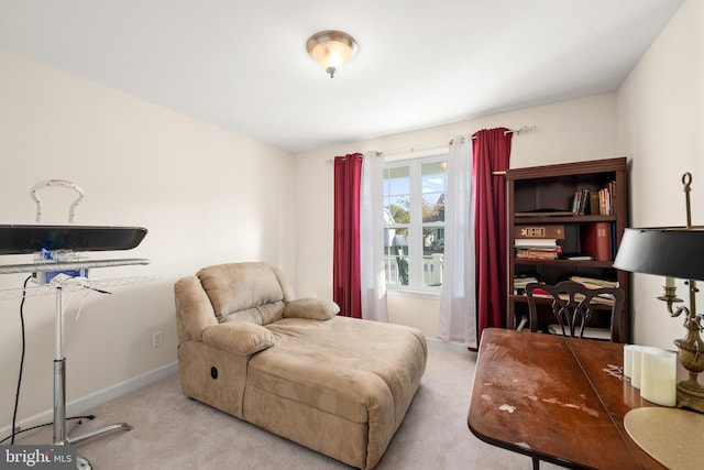 sitting room featuring light carpet