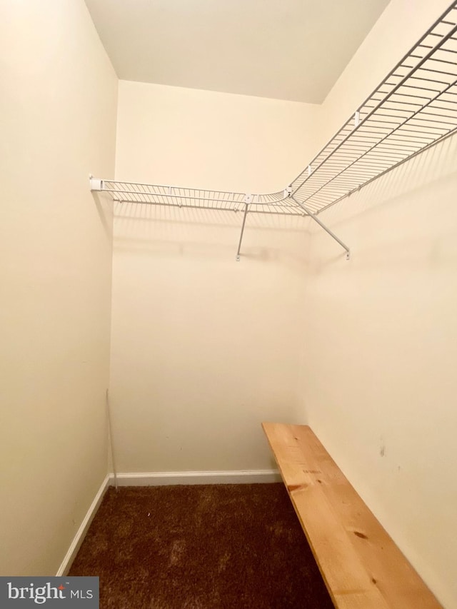 spacious closet with carpet floors