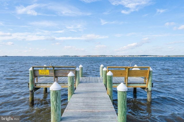 dock area with a water view