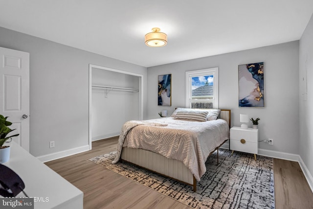 bedroom featuring a closet and wood-type flooring