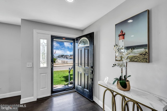 entryway featuring dark hardwood / wood-style flooring and a healthy amount of sunlight