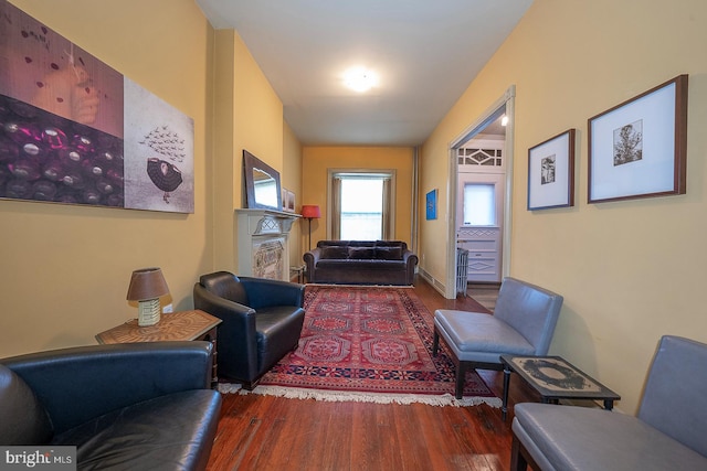 living room featuring hardwood / wood-style floors