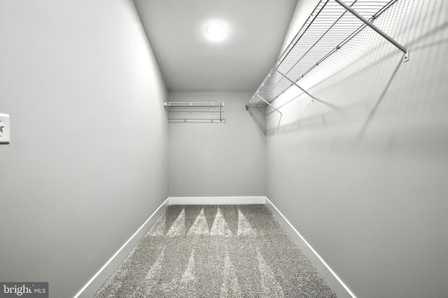 walk in closet with carpet flooring