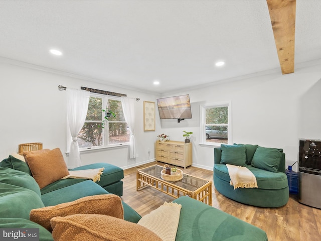 living area featuring crown molding, baseboards, wood finished floors, and recessed lighting