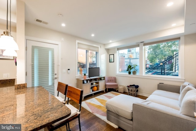 living room featuring dark hardwood / wood-style flooring