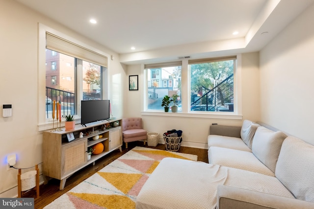 living room with dark hardwood / wood-style flooring