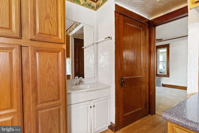 bathroom with radiator heating unit, vanity, and wood-type flooring