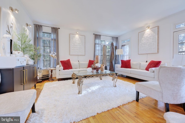 living room with light hardwood / wood-style floors