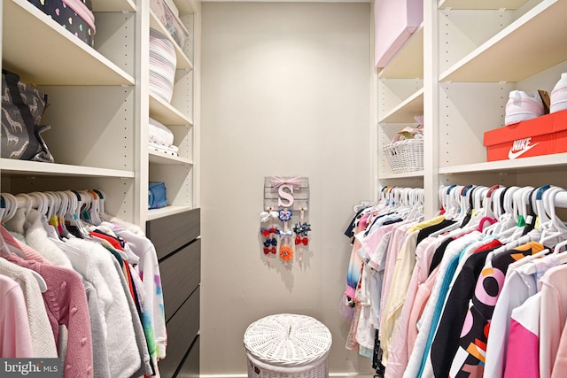 view of spacious closet