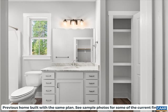 bathroom with hardwood / wood-style floors, vanity, and toilet