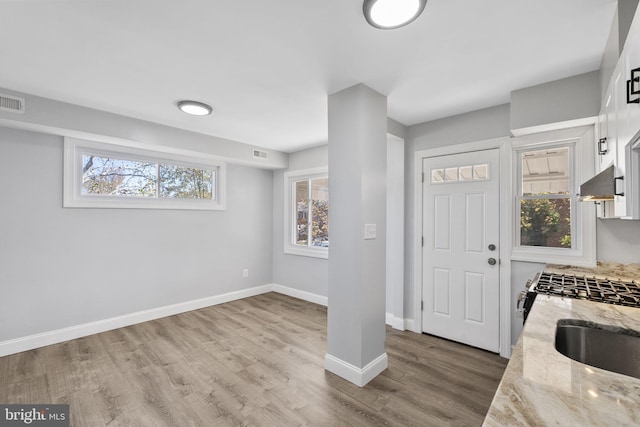 entryway featuring plenty of natural light, wood-type flooring, and sink