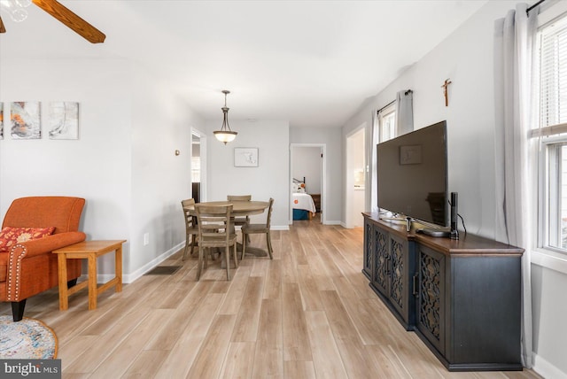 dining space featuring light wood-type flooring